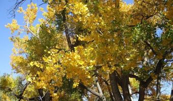 22 23 24 Private Drive 1617A, Abiquiu, NM 87510
