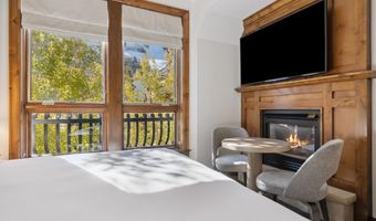 415 E Dean St. # 32 Wk 9, Aspen, CO 81611