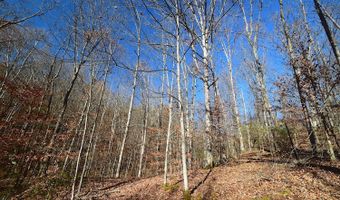 0 State Route 550, Amesville, OH 45711