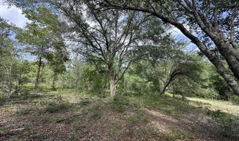 80 AC Old River Rd, Baker, FL 32531