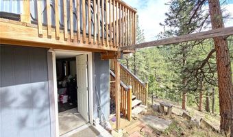226 Hall Rd, Bailey, CO 80421