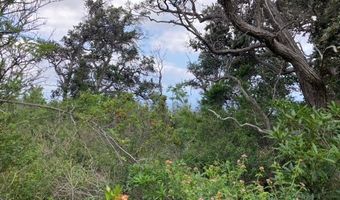 KEAKA PKWY, Ocean View, HI 96737