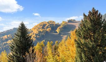 530 W Francis St, Aspen, CO 81611
