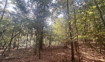 0 Highway 3, Blackville, SC 29817