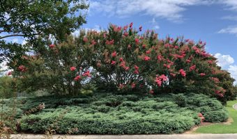 178 Carolina Way Lot 81, Arapahoe, NC 28510