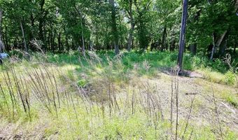 Lot 221 Banjo Court, Alvord, TX 76225