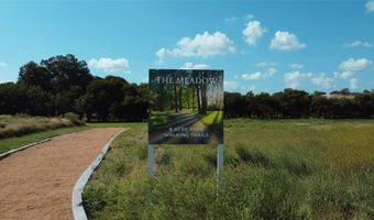 316 Manza Ct, Aledo, TX 76008