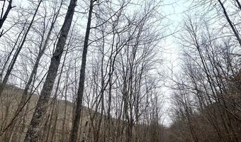 Brair Fork Road, Bean Station, TN 37708