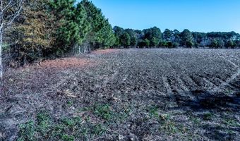 Lot 6 Bullard Pit Circle, Autryville, NC 28318