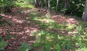 1165 W Alna Rd, Alna, ME 04535