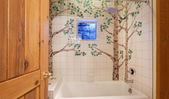 85 Glen Garry Dr, Aspen, CO 81611