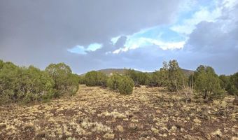 Pinon Valley Ranch lot 9, Concho, AZ 85924