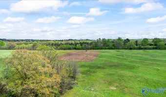 435 Sneadview Rd, Altoona, AL 35952