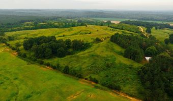 1037 Cr 300, Big Creek, MS 38914