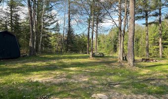 2706 Birchview, Alger, MI 48610