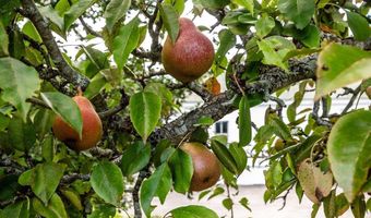 366 Old Concord Tpke, Barrington, NH 03825