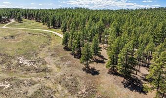 841 Beaver Creek Dr, Bayfield, CO 81122