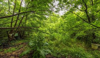 6444 Radford Rd, Athens, OH 45701