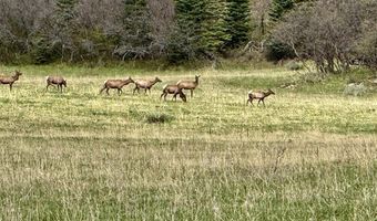 15098 CR 240, Bayfield, CO 81122