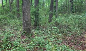 7700 Poole TRACT A, Alto, GA 30510