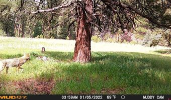 10643 CR 501, Bayfield, CO 81122