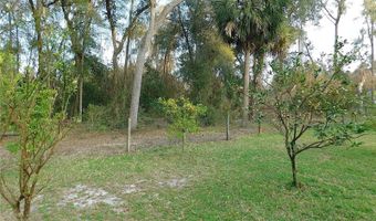 4184 NE 138TH Pl, Anthony, FL 32617