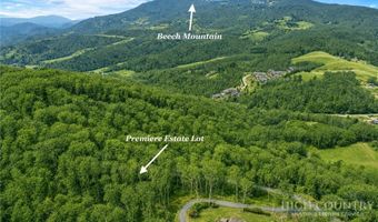 7 Finally Way, Banner Elk, NC 28604