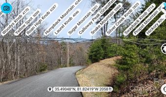 69 Arbra Mountain Way, Bostic, NC 28018