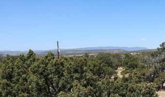 Lot 77 Western View Drive, Datil, NM 87821
