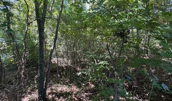 63 Hickory Crk, Acworth, GA 30101