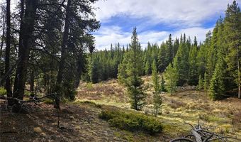 PCS # 7765 & 12057 Rollies Trail lot 0, Alma, CO 80420