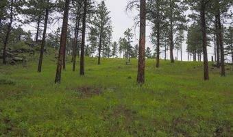 14884 Rist Canyon Rd, Bellvue, CO 80512