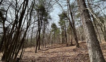 385 ELK CREEK Rd, Aaronsburg, PA 16820