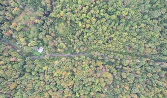 1515 Ned Clark Rd, Bean Station, TN 37708