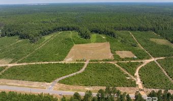 0 Horseneck Rd, Bay Minette, AL 36507