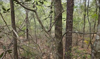 12287 Red Hill Rd Ext, Bay Minette, AL 36507