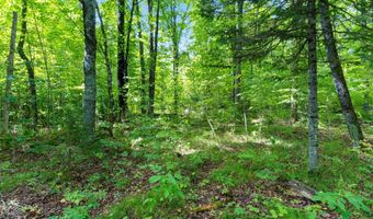 Double Bend Road, Argonne, WI 54511