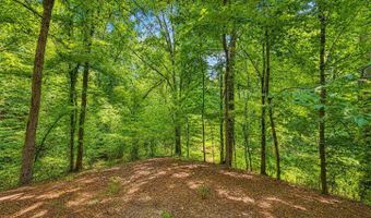 Walnut Street, Arkadelphia, AR 71923