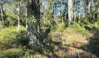 1219 N Paris St, Bell, FL 32619