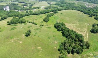 120 Carnes Chapel Rd, Attalla, AL 35954