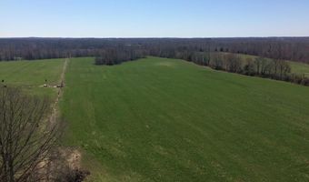 SULPHUR CREEK RD, Big Sandy, TN 38221