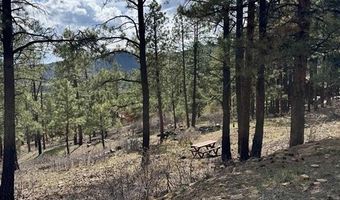 1142 Deer Ridge Dr, Bayfield, CO 81122