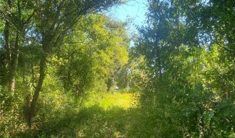 2221 NW PINE VIEW Rd, Arcadia, FL 34266