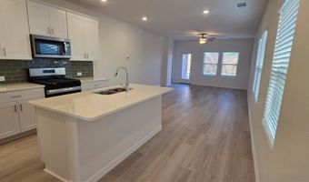 1733 Arches Rd, Anna, TX 75409