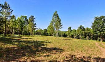 Tower Hill Rd, Appomattox, VA 24522