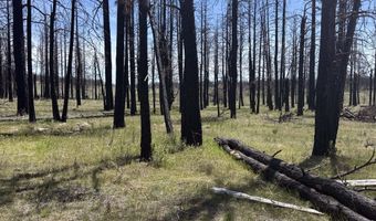 Off Hicks Road Lot 3, Bly, OR 97622