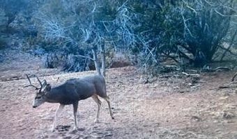 918 Wolf Rd, Ash Fork, AZ 86320