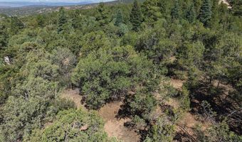Robertos Lane, Arroyo Seco, NM 87514
