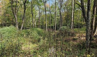 Lot 29 Lee Gualtney Road, Banner Elk, NC 28604