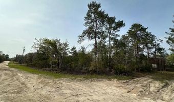 11850 NE 108 St, Archer, FL 32608